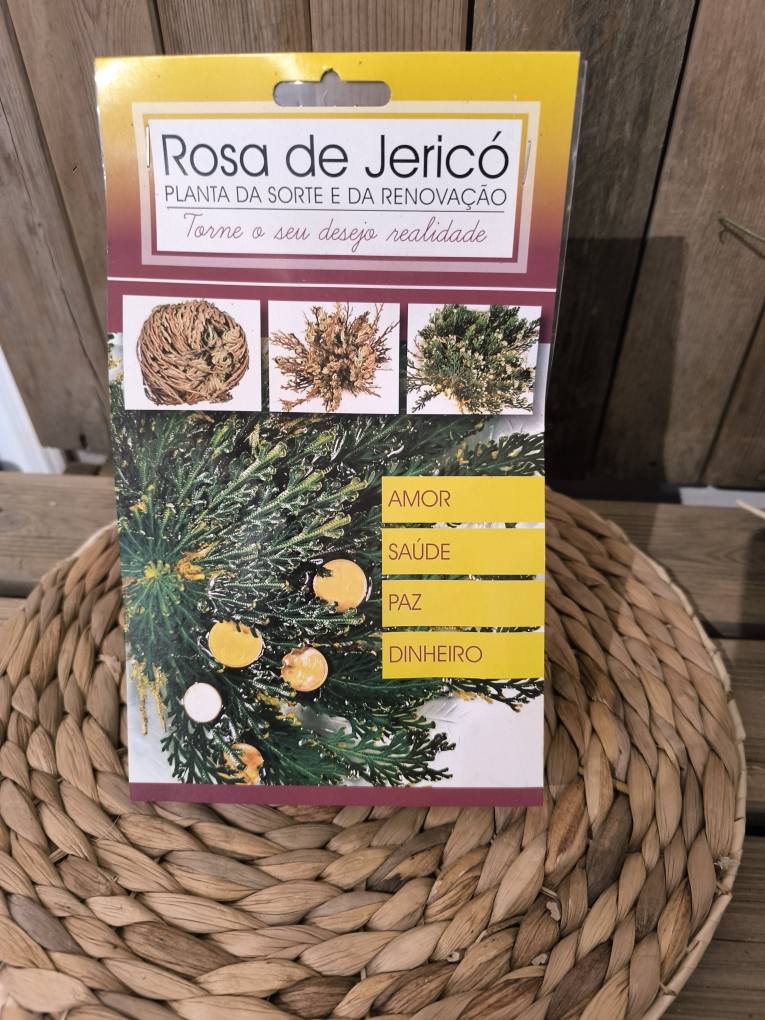 ROSE DE JERICHO 1