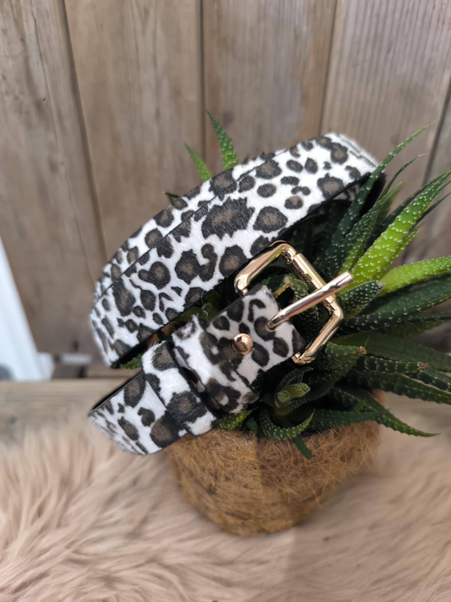 ceinture leo bl