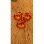 CANARD ORANGE A LA VANILLE