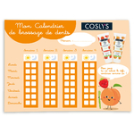 CALENDRIER COSLYS