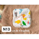 n13