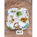 n17