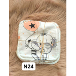 n24