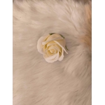 rose ivoire