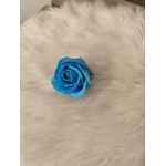 ROSE BLEUE TUR