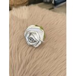ROSE BLANCHE 2