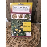 ROSE DE JERICHO 1
