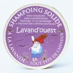 shampoing-solide-lavande