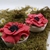 COQUELICOT 1