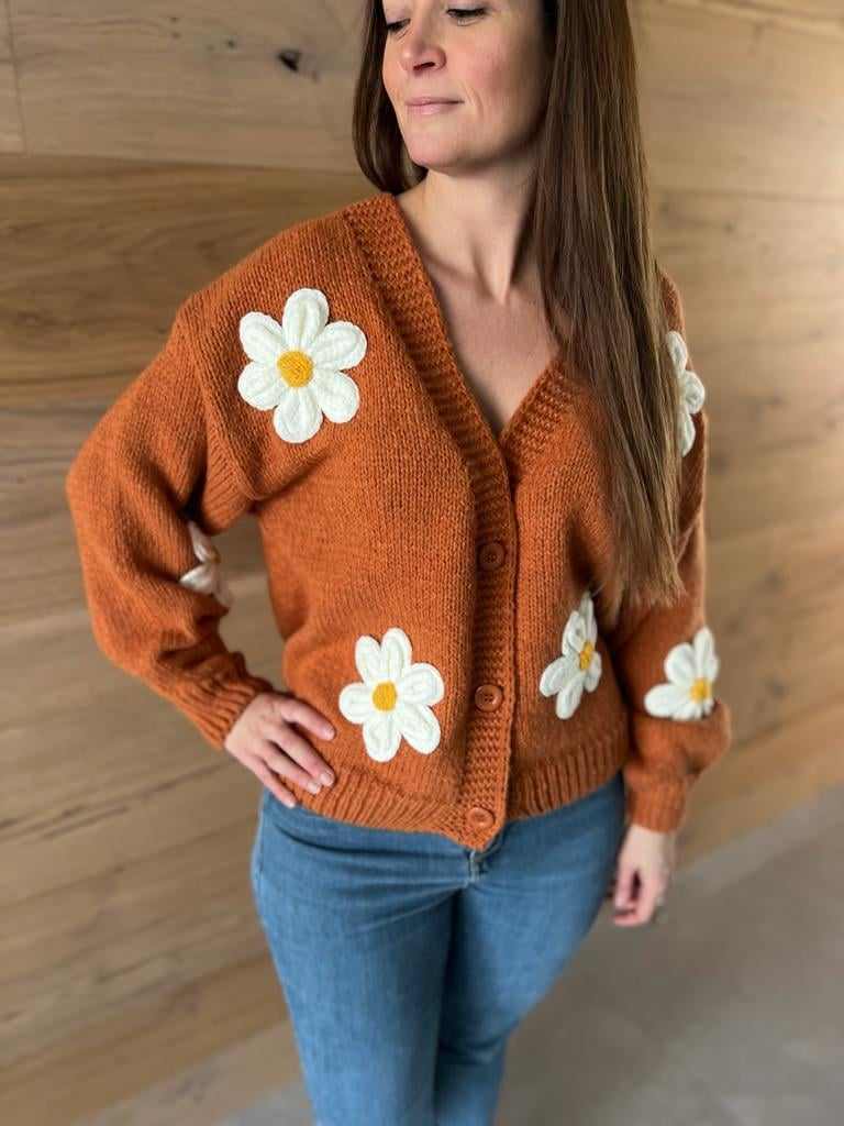 Gilet Rouille Marguerite.2