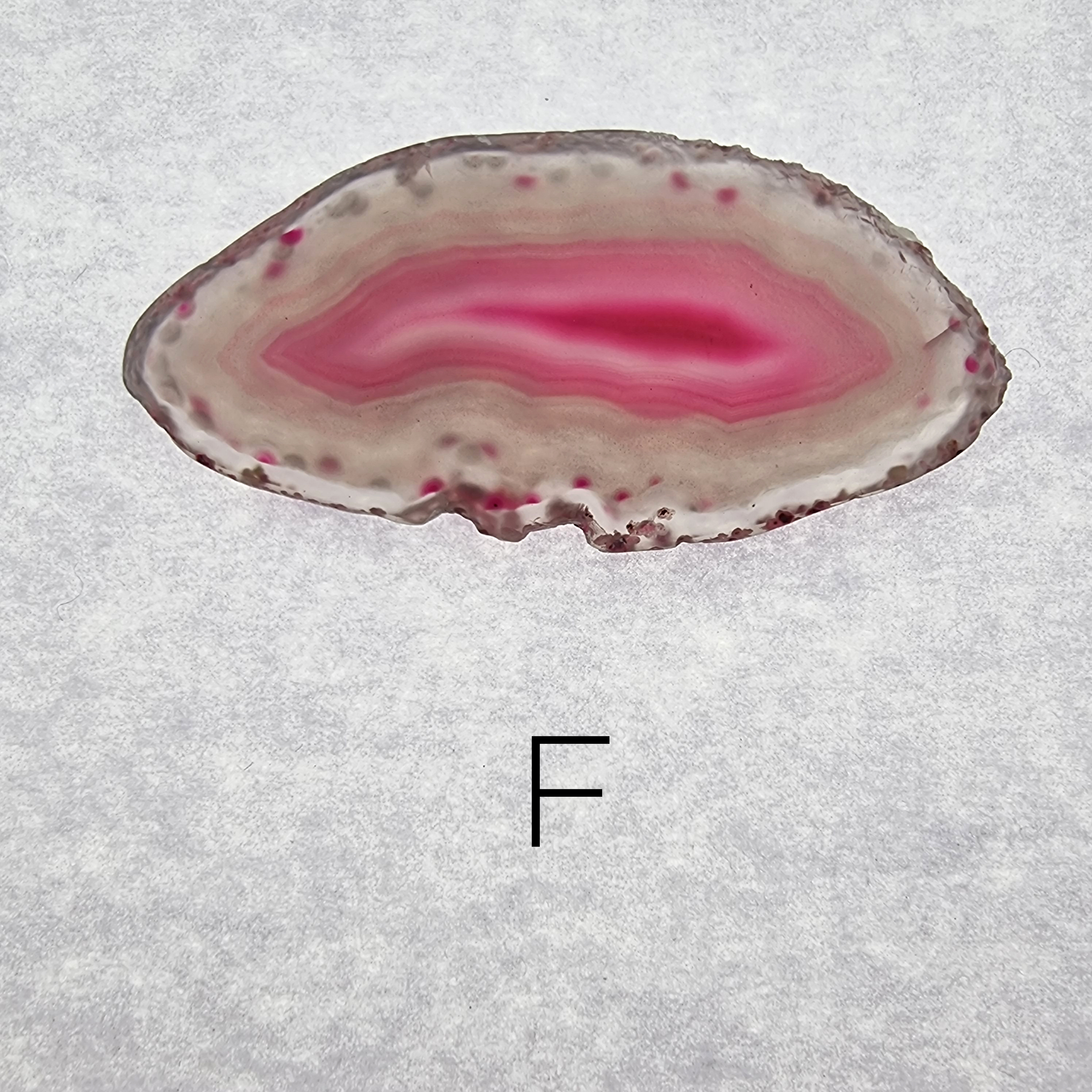petite-coupe-agate-F