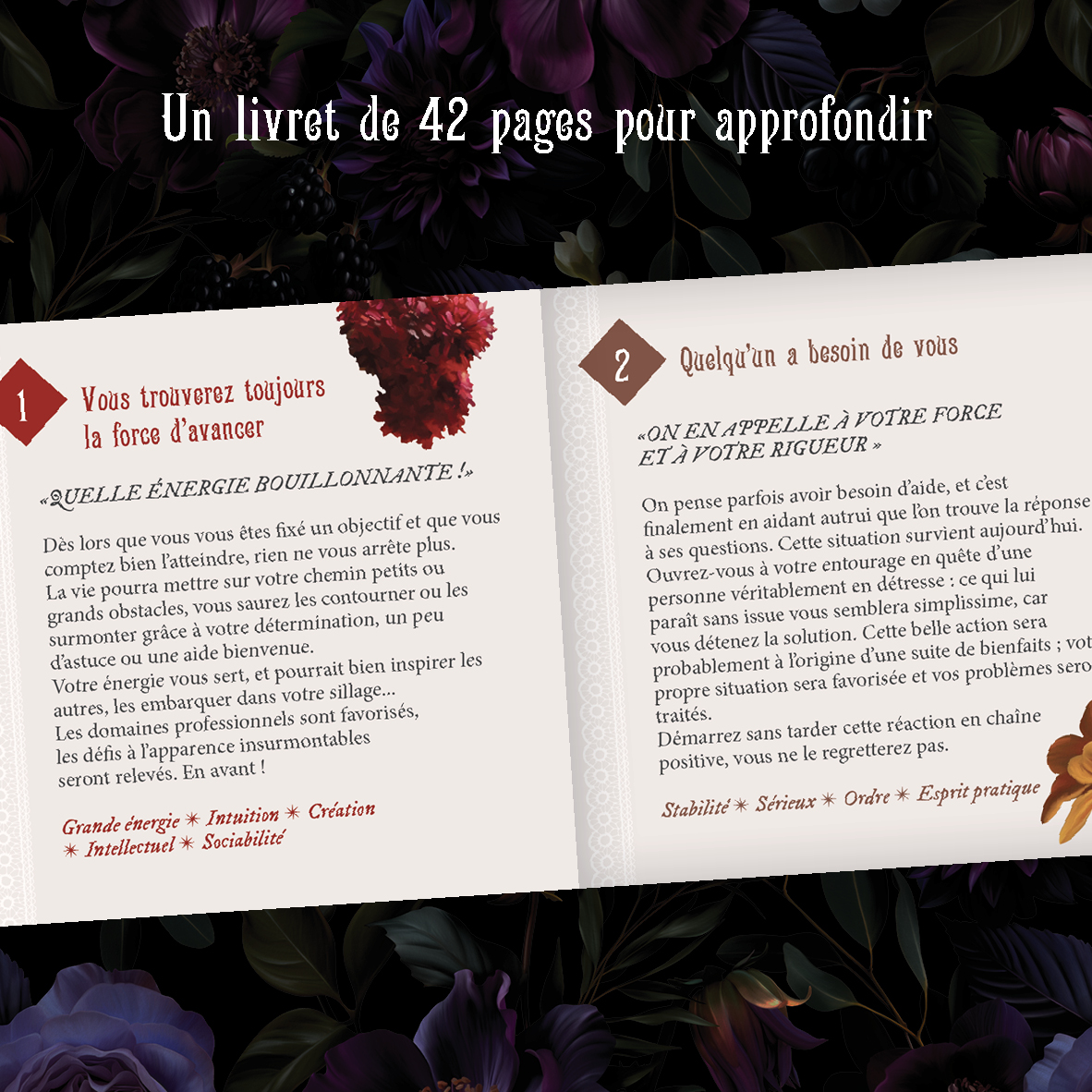 Madame-F-images-site7