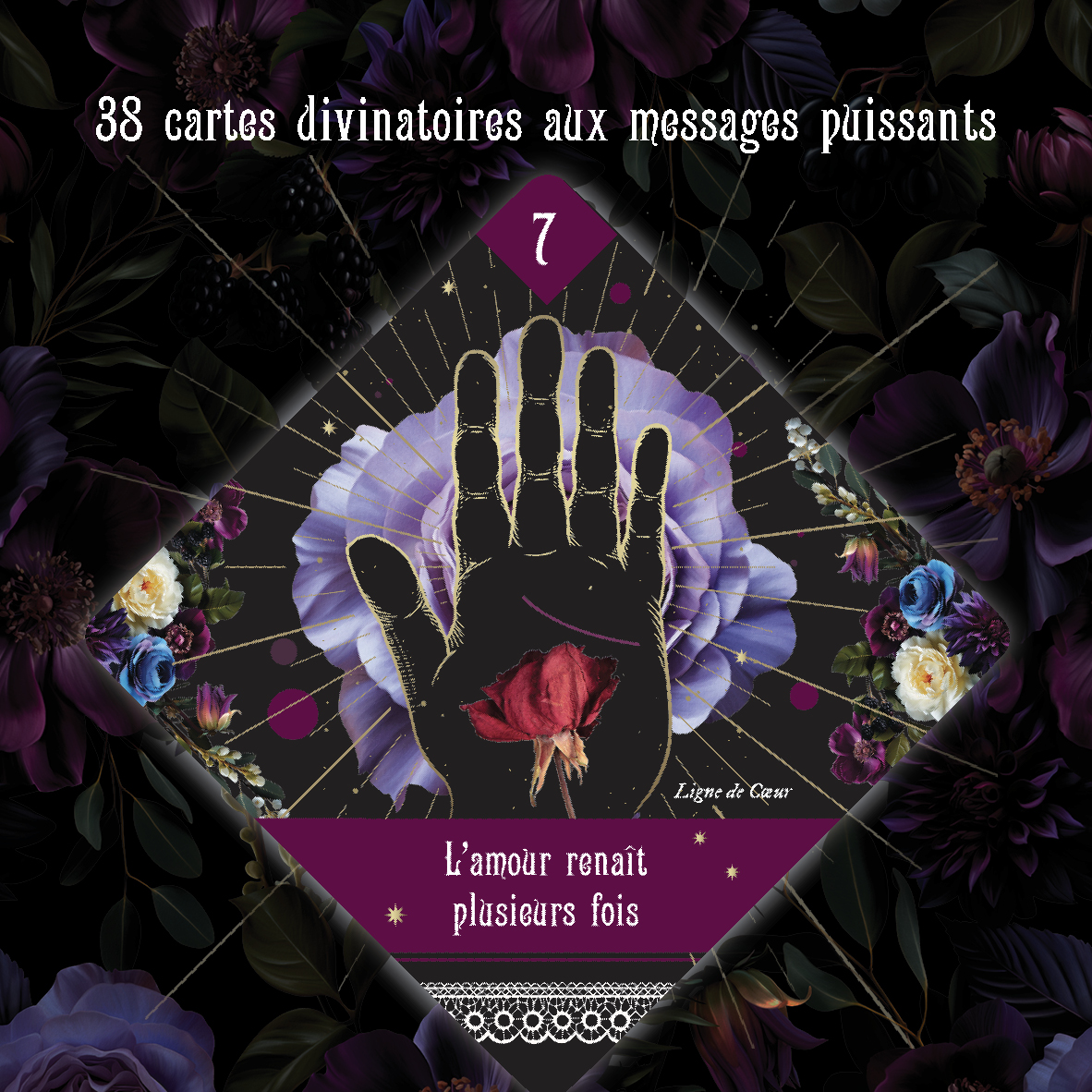 Madame-F-images-site2