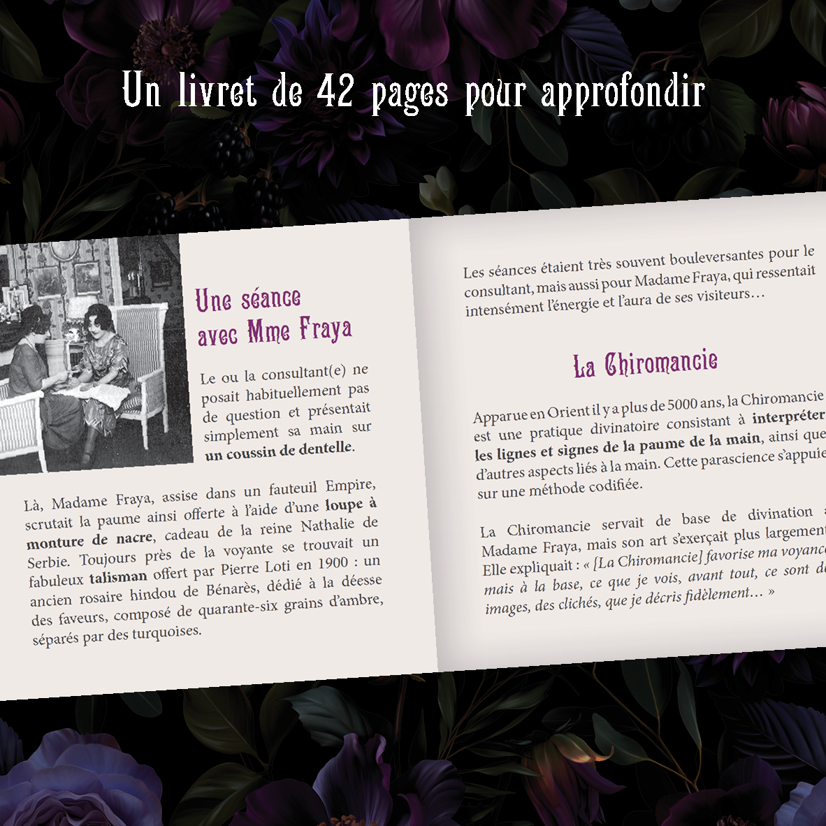 Madame-F-images-site6
