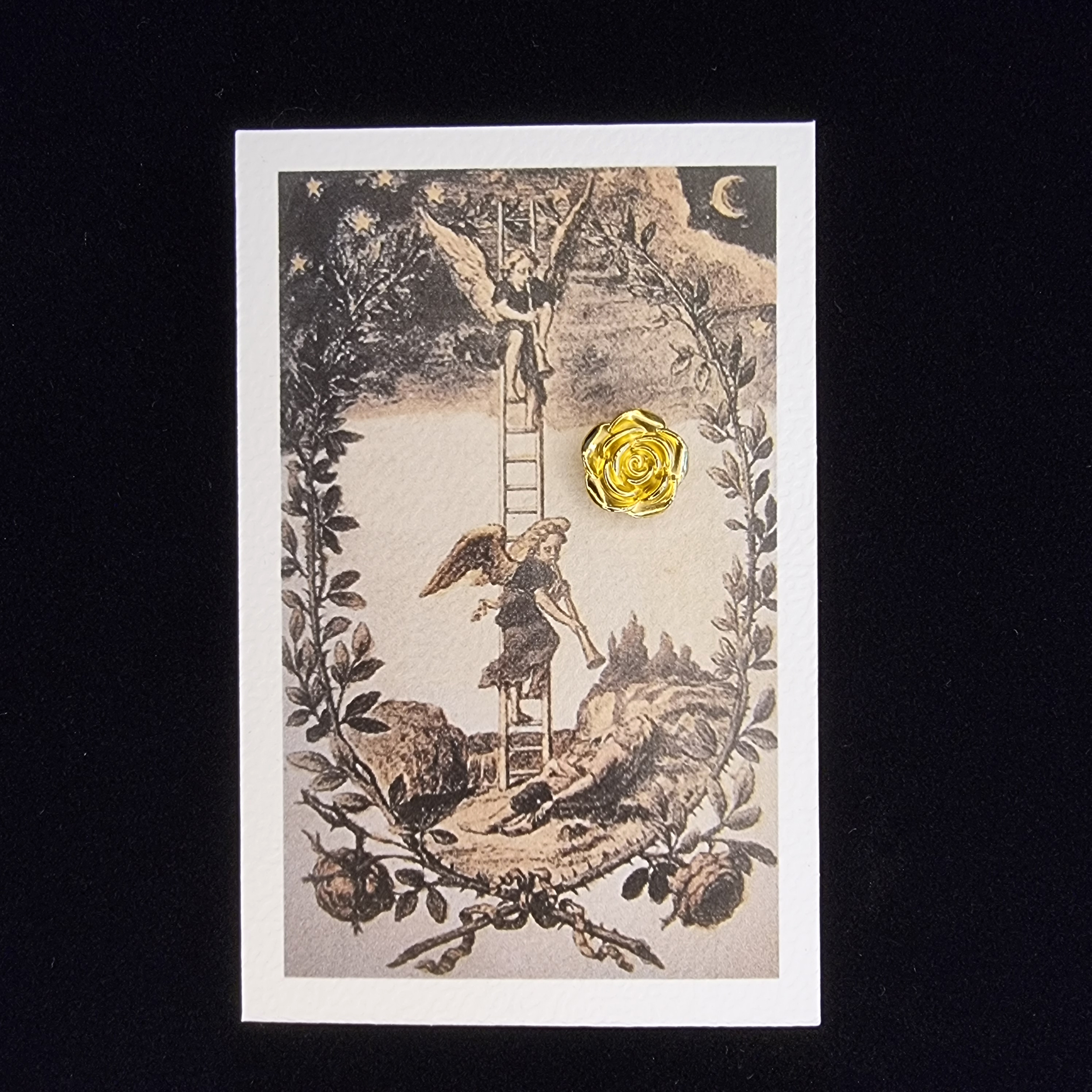 RD-carte