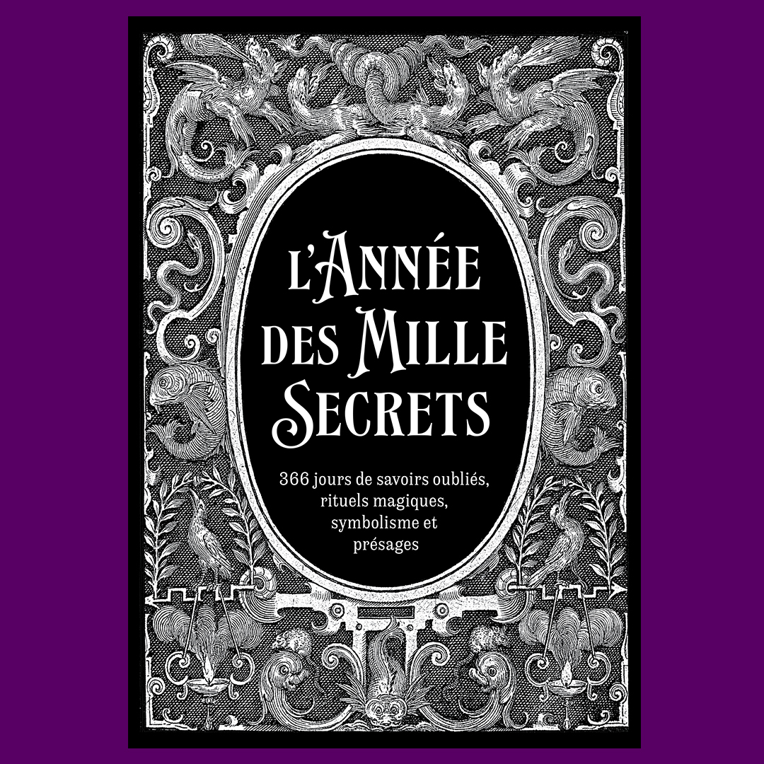 AMS-visuel-pack-1