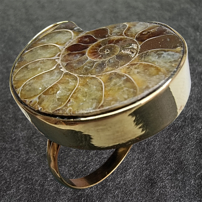 Bague en bronze réglable "Ammonite"
