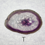 petite-coupe-agate-T