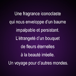 parfums-50-divination-texte