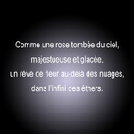 parfums-50-ethers-texte