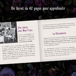 Madame-F-images-site6