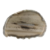 agate n°11