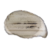 agate n°6