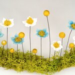 IMG_20251110_132108