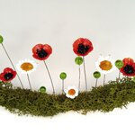 IMG_20251110_131421
