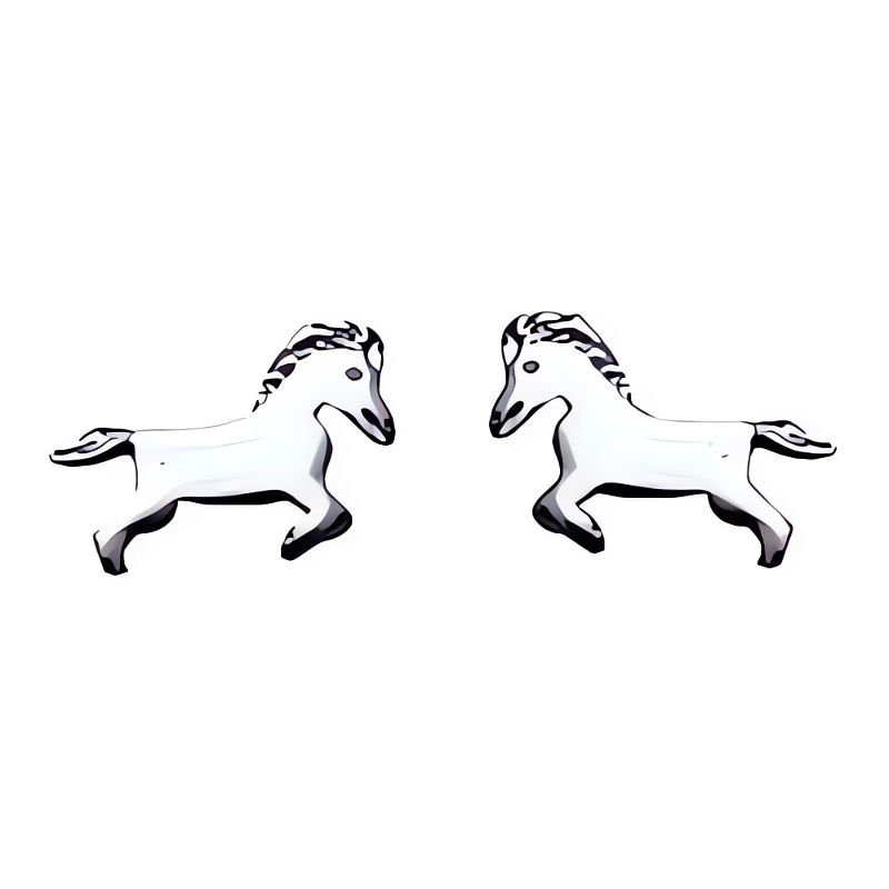 boucles-poneys-argent-215020