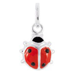 Pd-coccinelle-236154-Rh-Rob.2