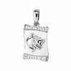 pendentif-taureau-argent-gravure-zodiaque-astrologique-073051-900p