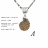 pendentif-Ammonite-A-570H25-1000p