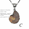 pendentif-ammonite-C-10H35-1000p