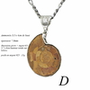 pendentif-ammonite-D-10H45-1000p