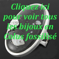 lien-colus-fossilisé