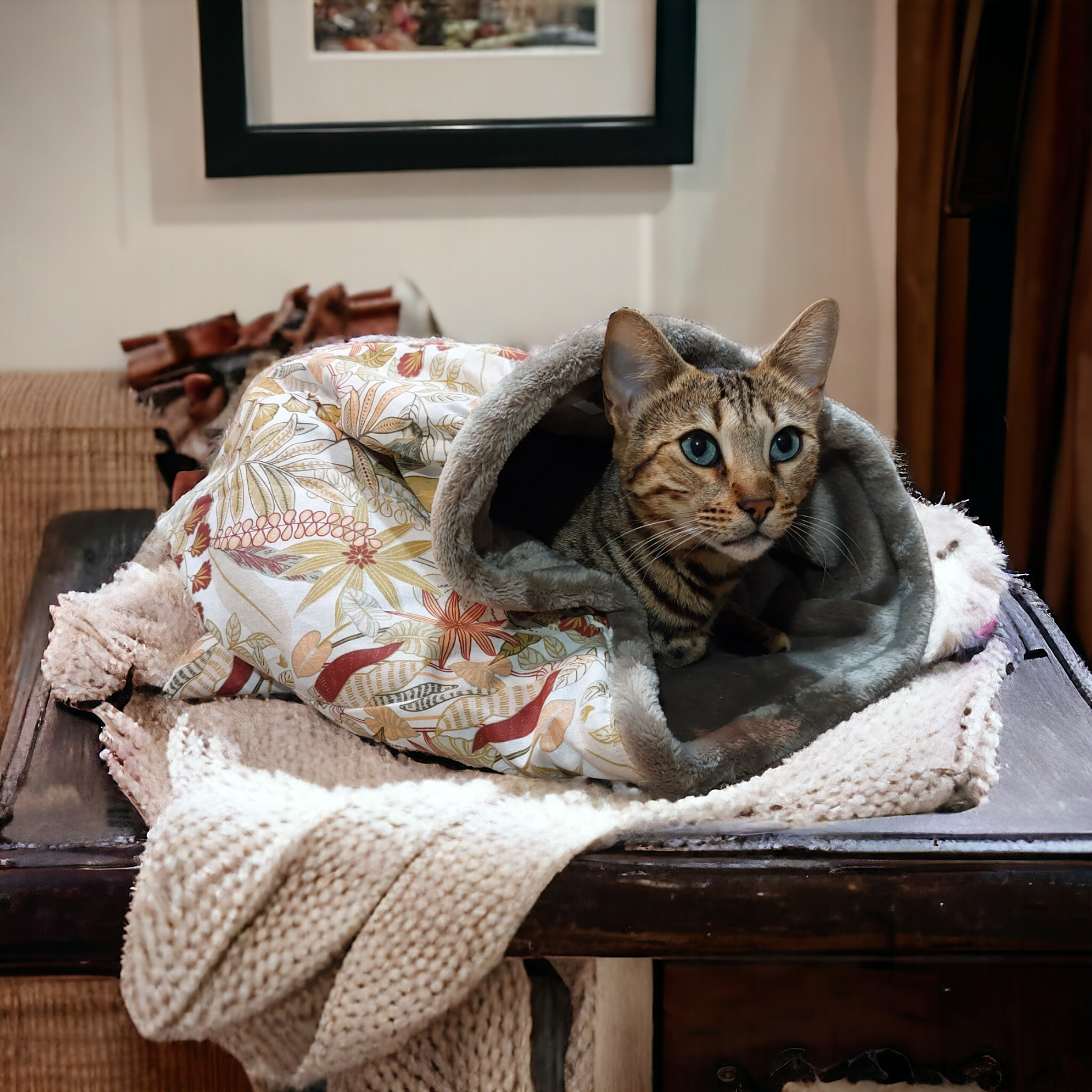 sac de couchage chat