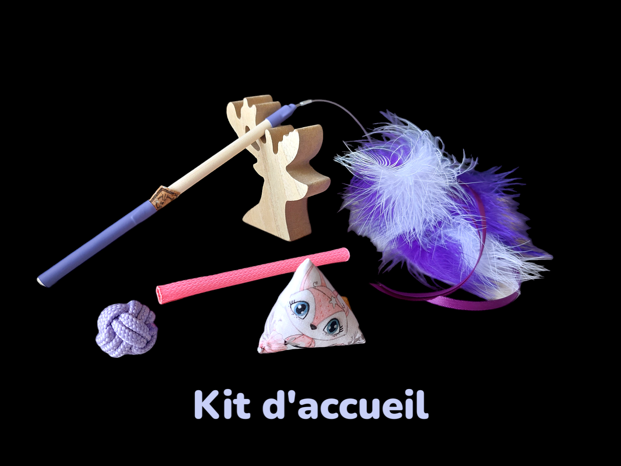 kit chaton jouet pour chat femelle