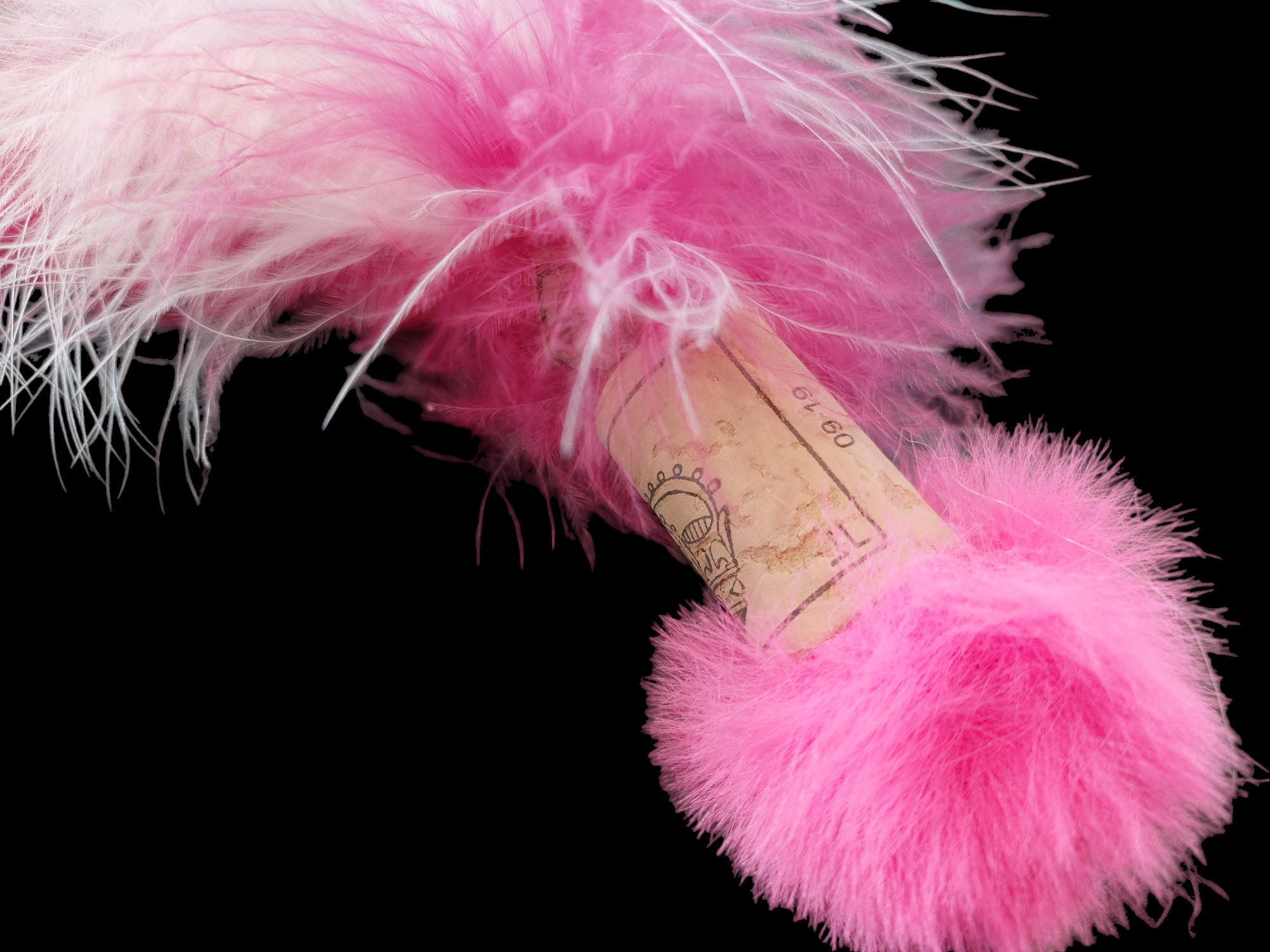 jouet rose en plumes pour chat