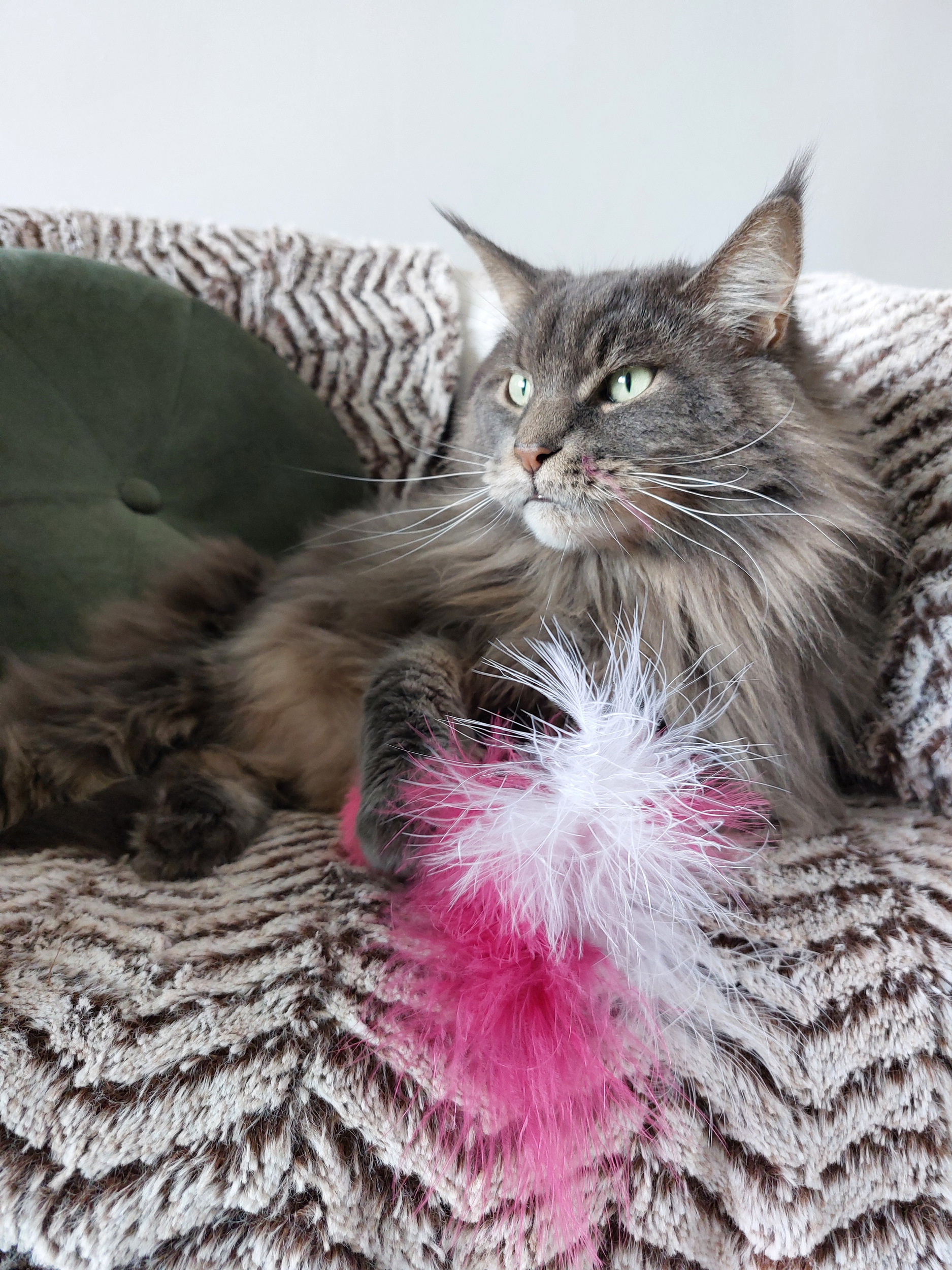 Goose jouet pour chat en plumes