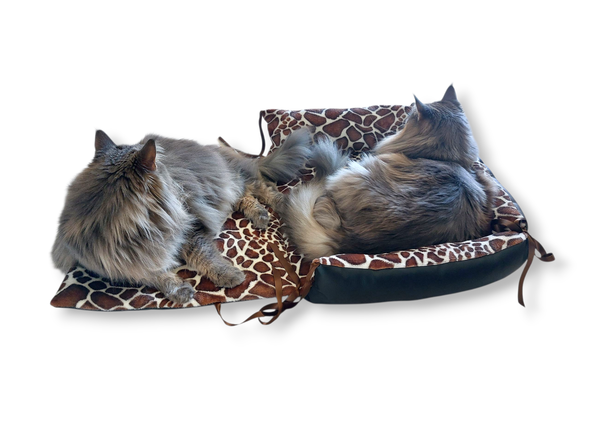 panier pour chat multifonctions