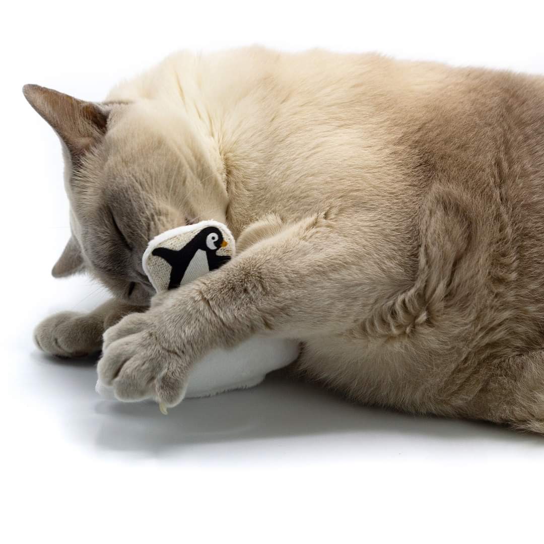 Jouets pour chat polaire