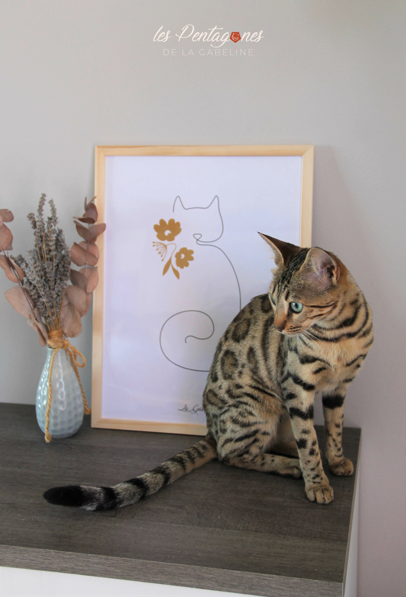 Affiche chat collier de fleurs 3