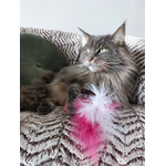 Goose jouet pour chat en plumes