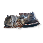 panier pour chat multifonctions