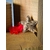 Jouet pour chat Etoile filante