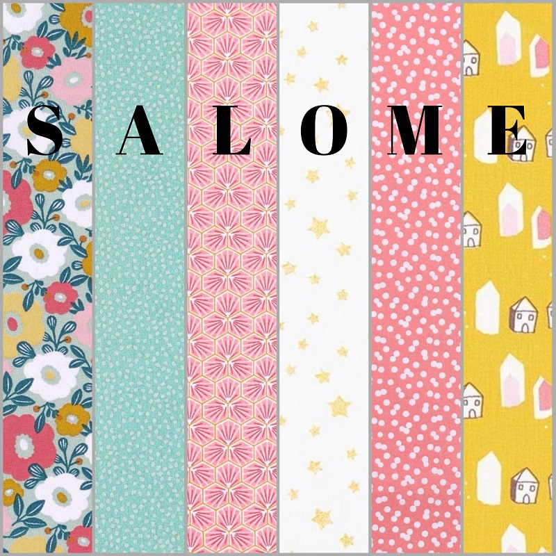 SALOME 6 - Copie
