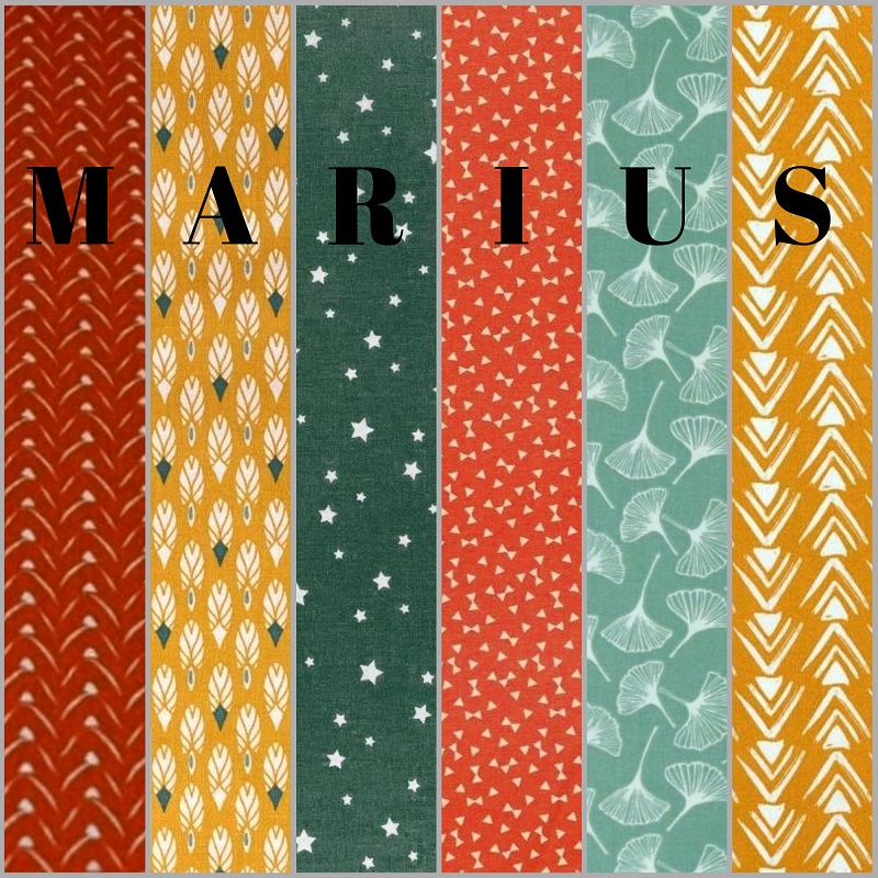 MARIUS 13 - Copie