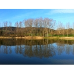 lac_aux_ramiers-780189