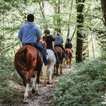 balade-a-cheval-teddy-verneuil-6-1920x960-crop-1615909046